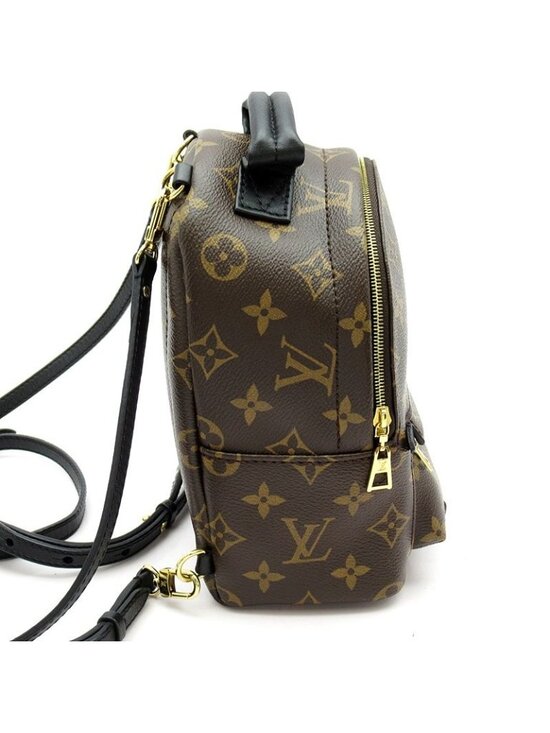 Louis Vuitton Palm Springs Backpack Mini Monogram